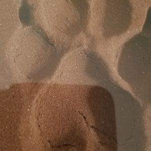 Meet your Posher, Stella